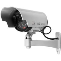 Post image for E-Mail 'Surveillance Camera Analysis' To A Friend